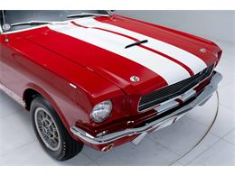 1966 Shelby GT350 (CC-2101257) for sale in Halton Hills, Ontario
