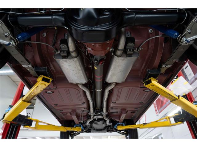 1966 Shelby GT350 (CC-2101257) for sale in Halton Hills, Ontario