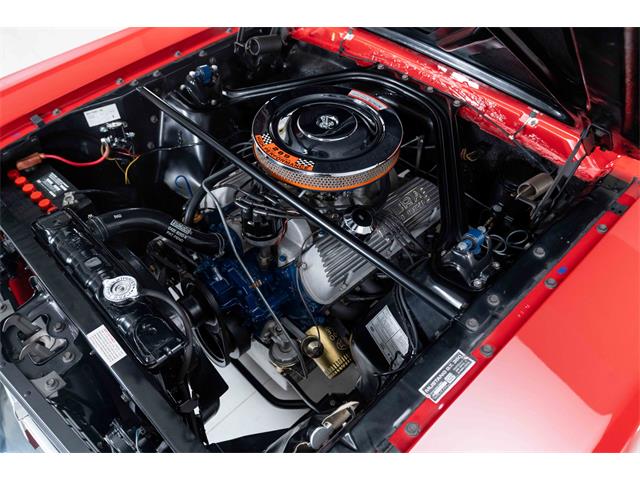 1966 Shelby GT350 (CC-2101257) for sale in Halton Hills, Ontario