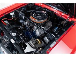1966 Shelby GT350 (CC-2101257) for sale in Halton Hills, Ontario