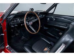 1966 Shelby GT350 (CC-2101257) for sale in Halton Hills, Ontario