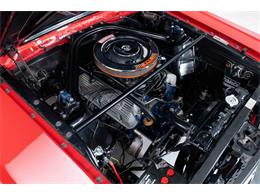 1966 Shelby GT350 (CC-2101257) for sale in Halton Hills, Ontario