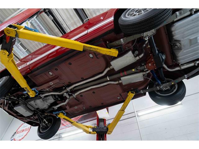 1966 Shelby GT350 (CC-2101257) for sale in Halton Hills, Ontario