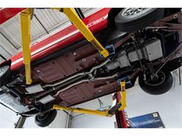 1966 Shelby GT350 (CC-2101257) for sale in Halton Hills, Ontario