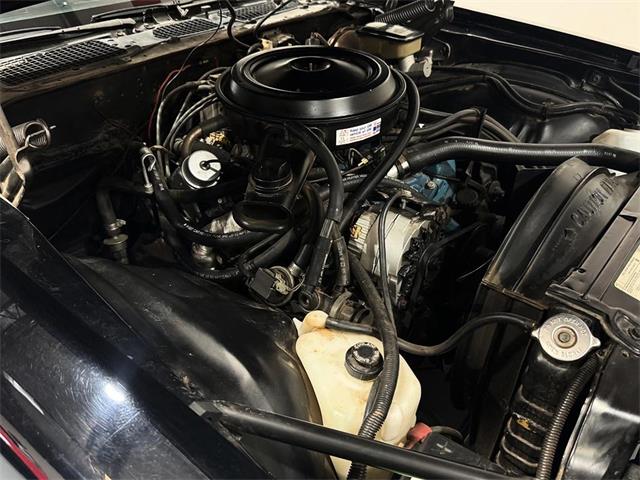 1981 Chevrolet Camaro (CC-2101280) for sale in Palm Desert , California