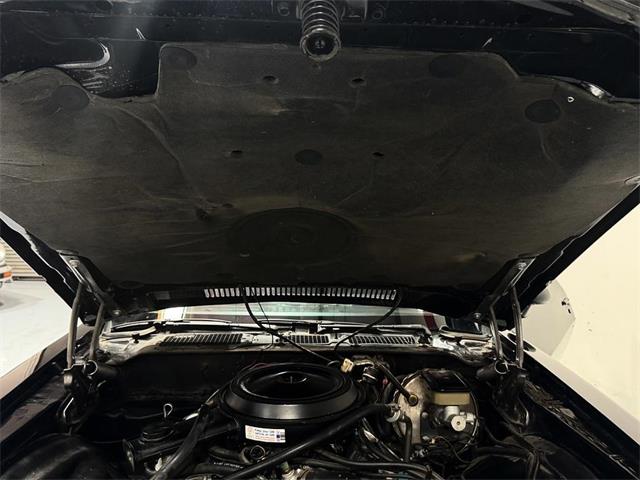 1981 Chevrolet Camaro (CC-2101280) for sale in Palm Desert , California