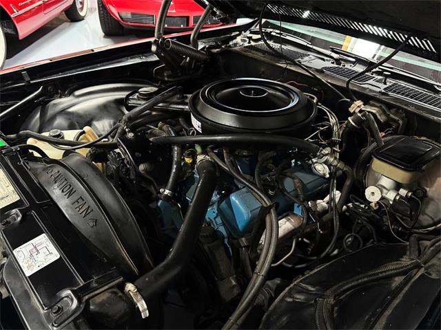 1981 Chevrolet Camaro (CC-2101280) for sale in Palm Desert , California