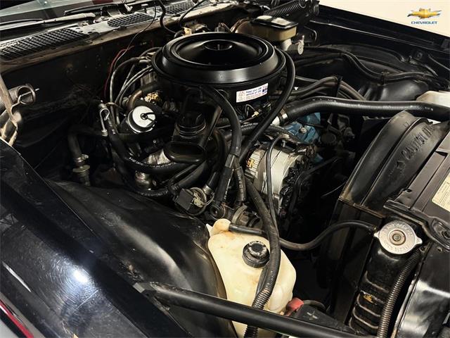 1981 Chevrolet Camaro (CC-2101280) for sale in Palm Desert , California