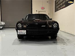 1981 Chevrolet Camaro (CC-2101280) for sale in Palm Desert , California
