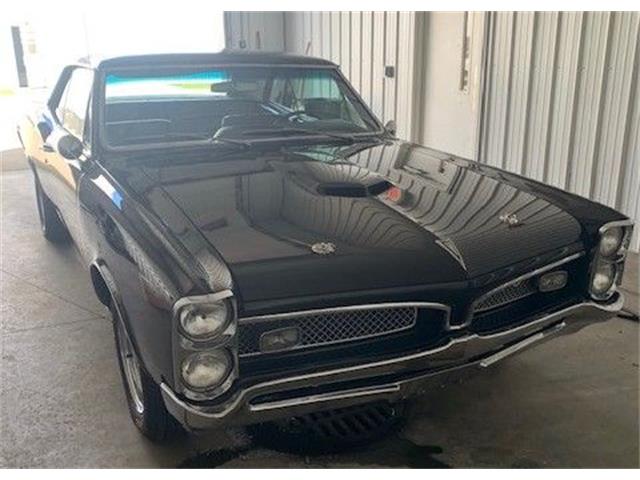 1967 Pontiac GTO (CC-2100013) for sale in Cadillac, Michigan