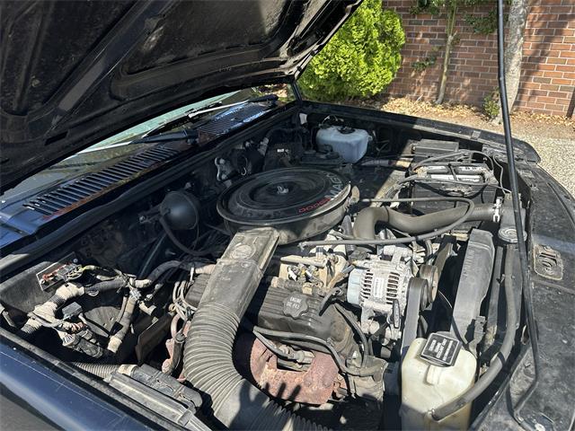 1993 Dodge Dakota (CC-2101328) for sale in Edmonds, Washington