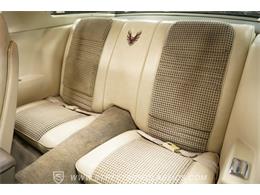 1980 Pontiac Firebird (CC-2101346) for sale in Concord, North Carolina
