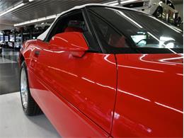 1995 Chevrolet Corvette (CC-2100135) for sale in North Canton, Ohio