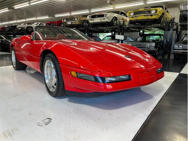 1995 Chevrolet Corvette (CC-2100135) for sale in North Canton, Ohio