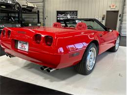 1995 Chevrolet Corvette (CC-2100135) for sale in North Canton, Ohio
