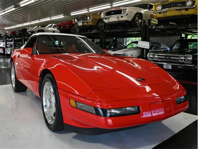 1995 Chevrolet Corvette (CC-2100135) for sale in North Canton, Ohio