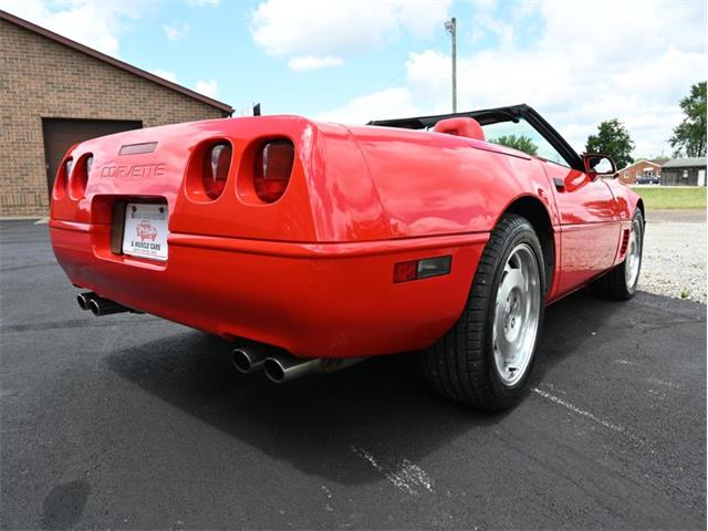 1995 Chevrolet Corvette (CC-2100135) for sale in North Canton, Ohio