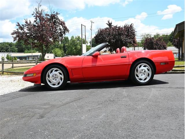 1995 Chevrolet Corvette (CC-2100135) for sale in North Canton, Ohio