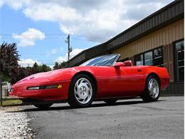 1995 Chevrolet Corvette (CC-2100135) for sale in North Canton, Ohio