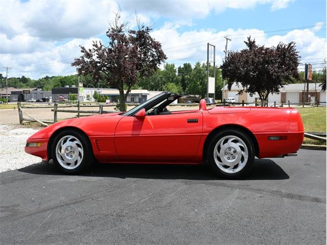 1995 Chevrolet Corvette (CC-2100135) for sale in North Canton, Ohio