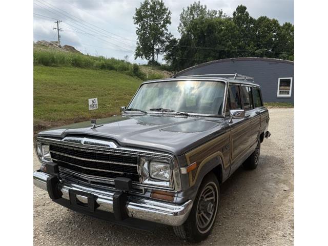 1991 Jeep Wagoneer (CC-2101376) for sale in Hobart, Indiana