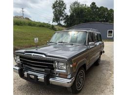 1991 Jeep Wagoneer (CC-2101376) for sale in Hobart, Indiana