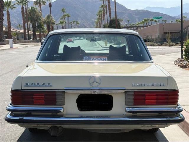 1979 Mercedes-Benz 300SD (CC-2101423) for sale in Cadillac, Michigan