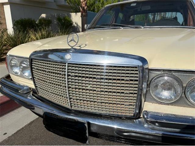 1979 Mercedes-Benz 300SD (CC-2101423) for sale in Cadillac, Michigan
