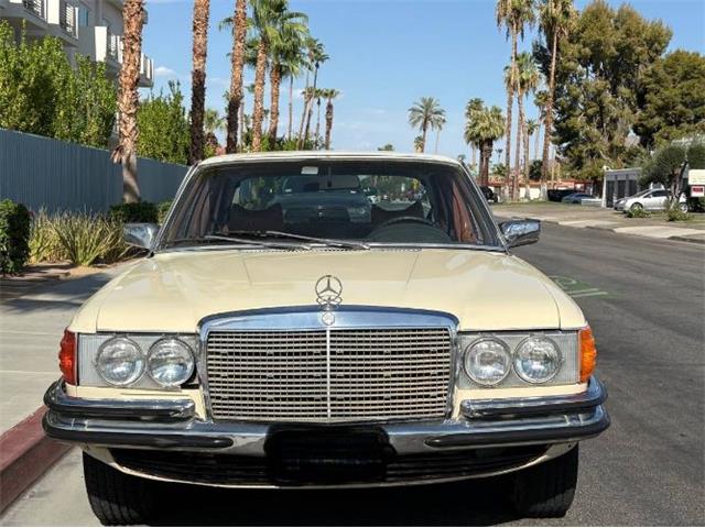 1979 Mercedes-Benz 300SD (CC-2101423) for sale in Cadillac, Michigan