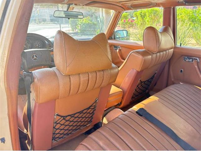 1979 Mercedes-Benz 300SD (CC-2101423) for sale in Cadillac, Michigan