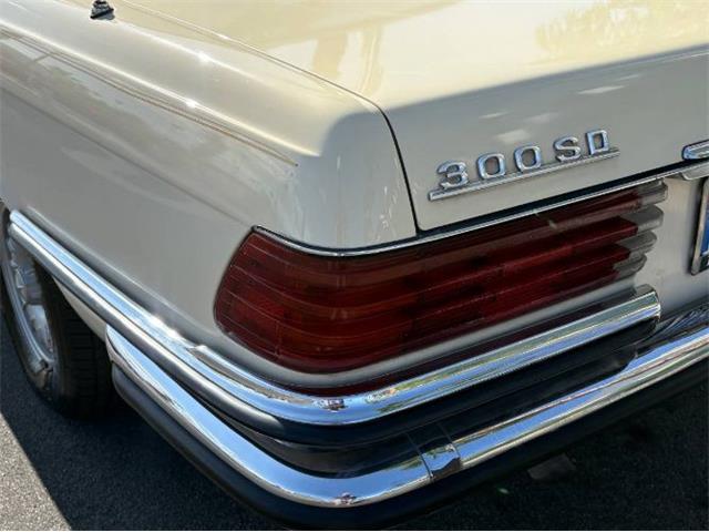 1979 Mercedes-Benz 300SD (CC-2101423) for sale in Cadillac, Michigan