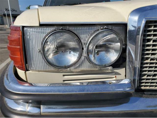 1979 Mercedes-Benz 300SD (CC-2101423) for sale in Cadillac, Michigan