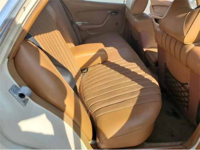 1979 Mercedes-Benz 300SD (CC-2101423) for sale in Cadillac, Michigan