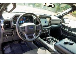 2023 Ford F150 (CC-2101433) for sale in Ramsey, Minnesota