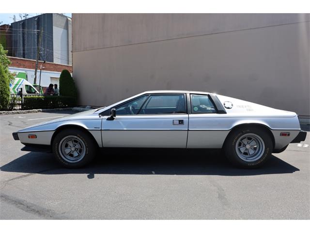1979 Lotus Esprit (CC-2101436) for sale in Astoria, New York