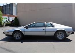 1979 Lotus Esprit (CC-2101436) for sale in Astoria, New York