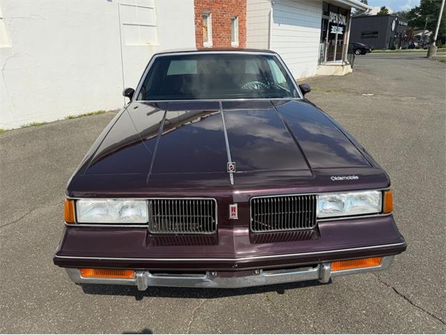 1988 Oldsmobile Cutlass (CC-2101462) for sale in Springfield, Massachusetts