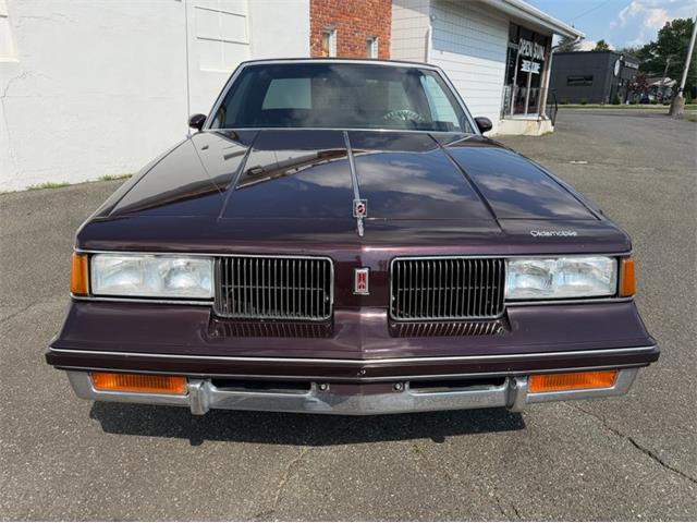 1988 Oldsmobile Cutlass (CC-2101462) for sale in Springfield, Massachusetts
