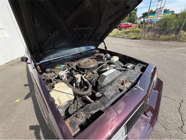 1988 Oldsmobile Cutlass (CC-2101462) for sale in Springfield, Massachusetts