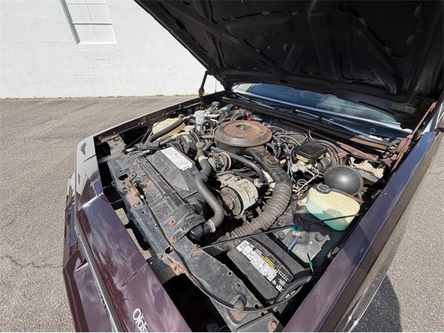 1988 Oldsmobile Cutlass (CC-2101462) for sale in Springfield, Massachusetts
