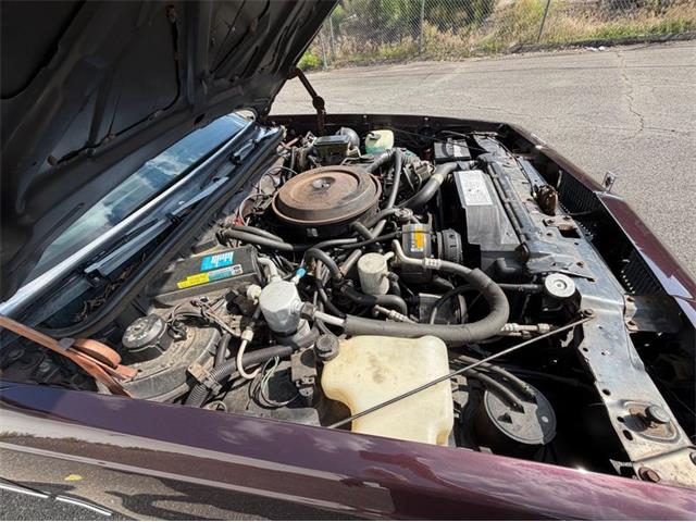 1988 Oldsmobile Cutlass (CC-2101462) for sale in Springfield, Massachusetts