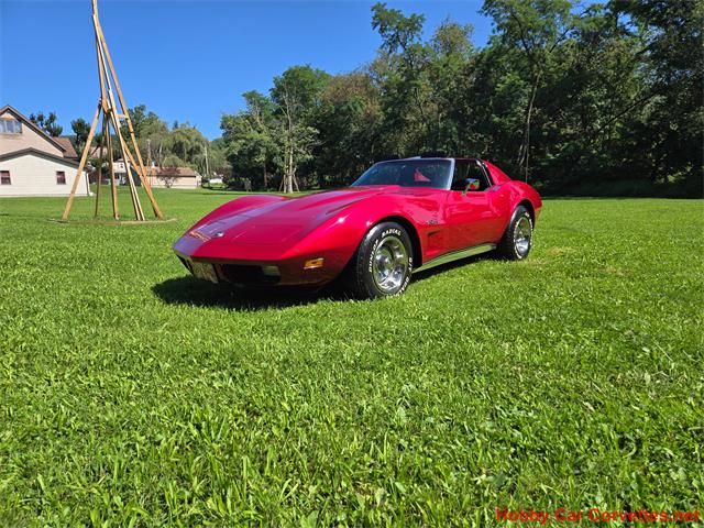 1974 Chevrolet Corvette (CC-2101510) for sale in MARTINSBURG, Pennsylvania
