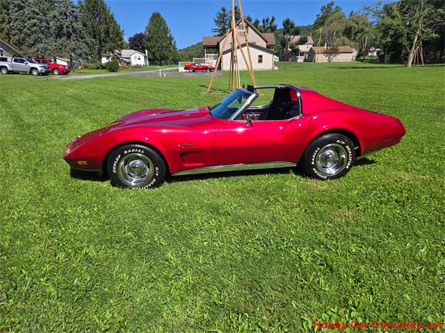 1974 Chevrolet Corvette (CC-2101510) for sale in MARTINSBURG, Pennsylvania