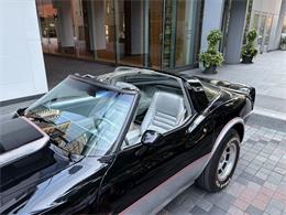 1978 Chevrolet Corvette (Indy 500 Pace Car) (CC-2101522) for sale in Toronto, Ontario