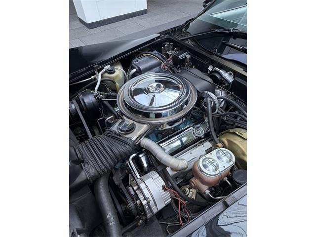 1978 Chevrolet Corvette (Indy 500 Pace Car) (CC-2101522) for sale in Toronto, Ontario