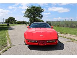 1987 Chevrolet Corvette (CC-2101543) for sale in Astoria, New York
