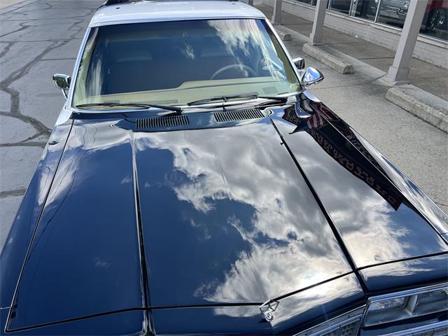 1987 Plymouth Gran Fury (CC-2101598) for sale in Clarkston, Michigan