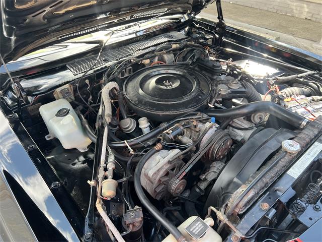 1987 Plymouth Gran Fury (CC-2101598) for sale in Clarkston, Michigan