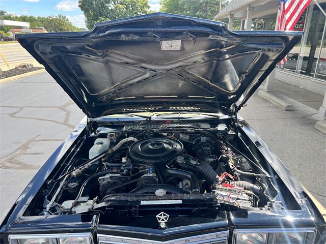 1987 Plymouth Gran Fury (CC-2101598) for sale in Clarkston, Michigan