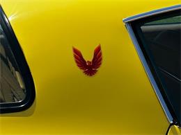 1979 Pontiac Firebird Trans Am (CC-2100161) for sale in Sioux City, Iowa